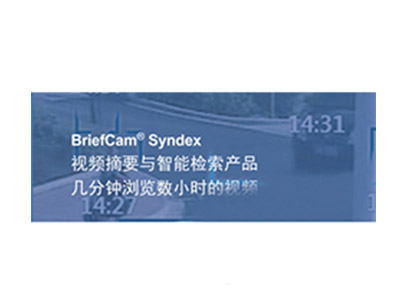BriefCam VS Forensics快速視頻檢索系統(tǒng)